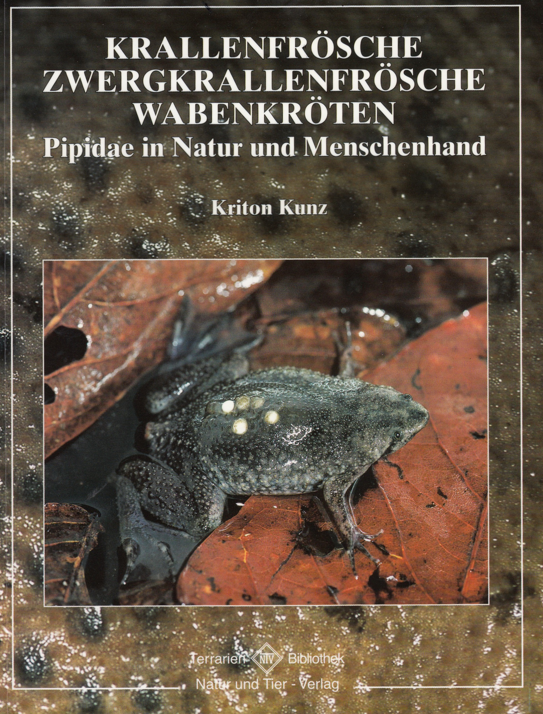 Krallenfrösche und Wabenkröten - Pipidae in Natur und Menschenhand (Kriton Kunz)