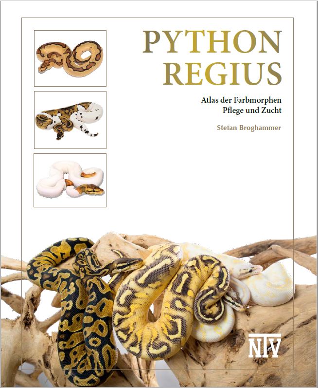 Python regius - Atlas der Farbmorphen, Pflege, Zucht (Stefan Broghammer) 3. Auflage