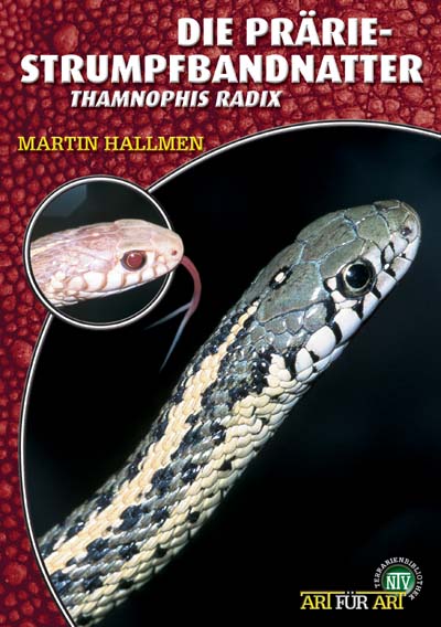 Die Prärie-Strumpfbandnatter - Thamnophis radix (Martin Hallmen)