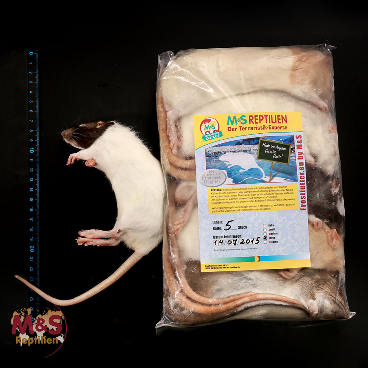 1 (einzelne)  Ratte large, gefroren, ca. 150-220g