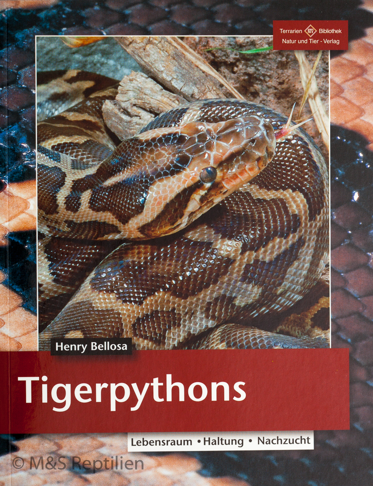 Tigerpythons - Lebensraum, Haltung, Nachzucht (Henry Bellosa)
