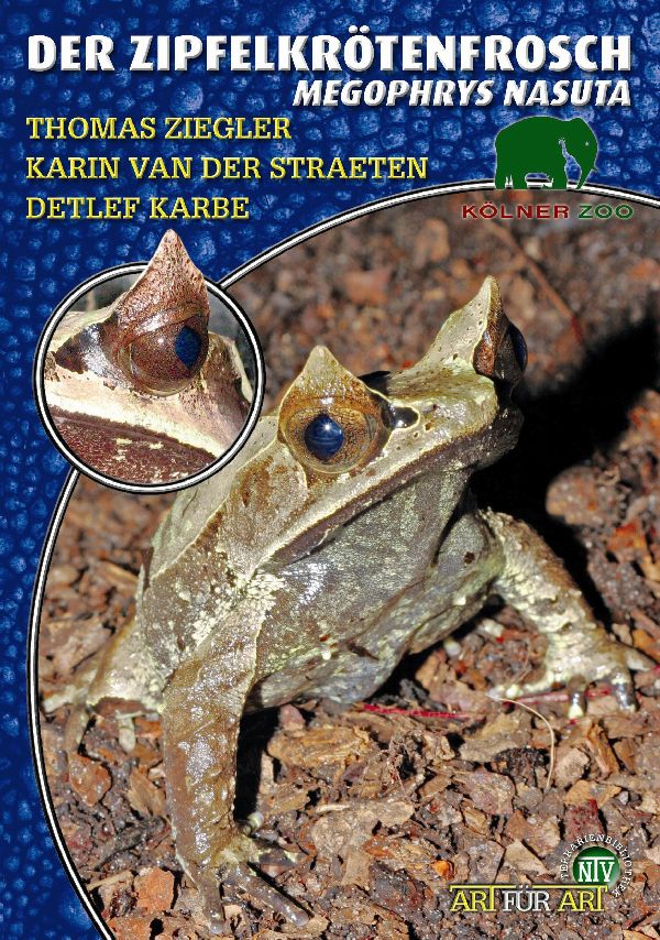 Der Zipfelkrötenfrosch - Megophrys nasuta (Thomas Ziegler & Karin van der Straeten & Detlef Karbe)