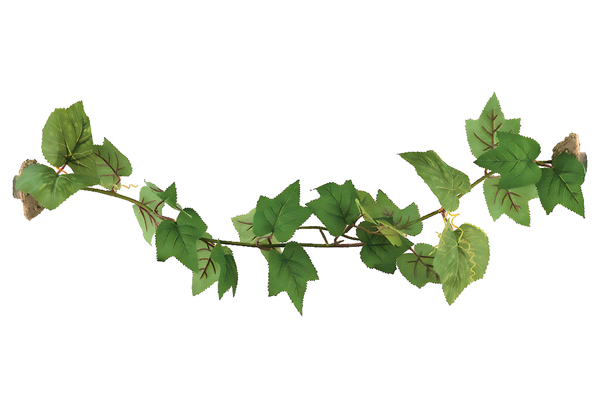 ReptiZoo Magnetisch haftende Kunststoffpflanze "Grape leaves" – Terrarien-Deko (ca. 60 cm) – TP084
