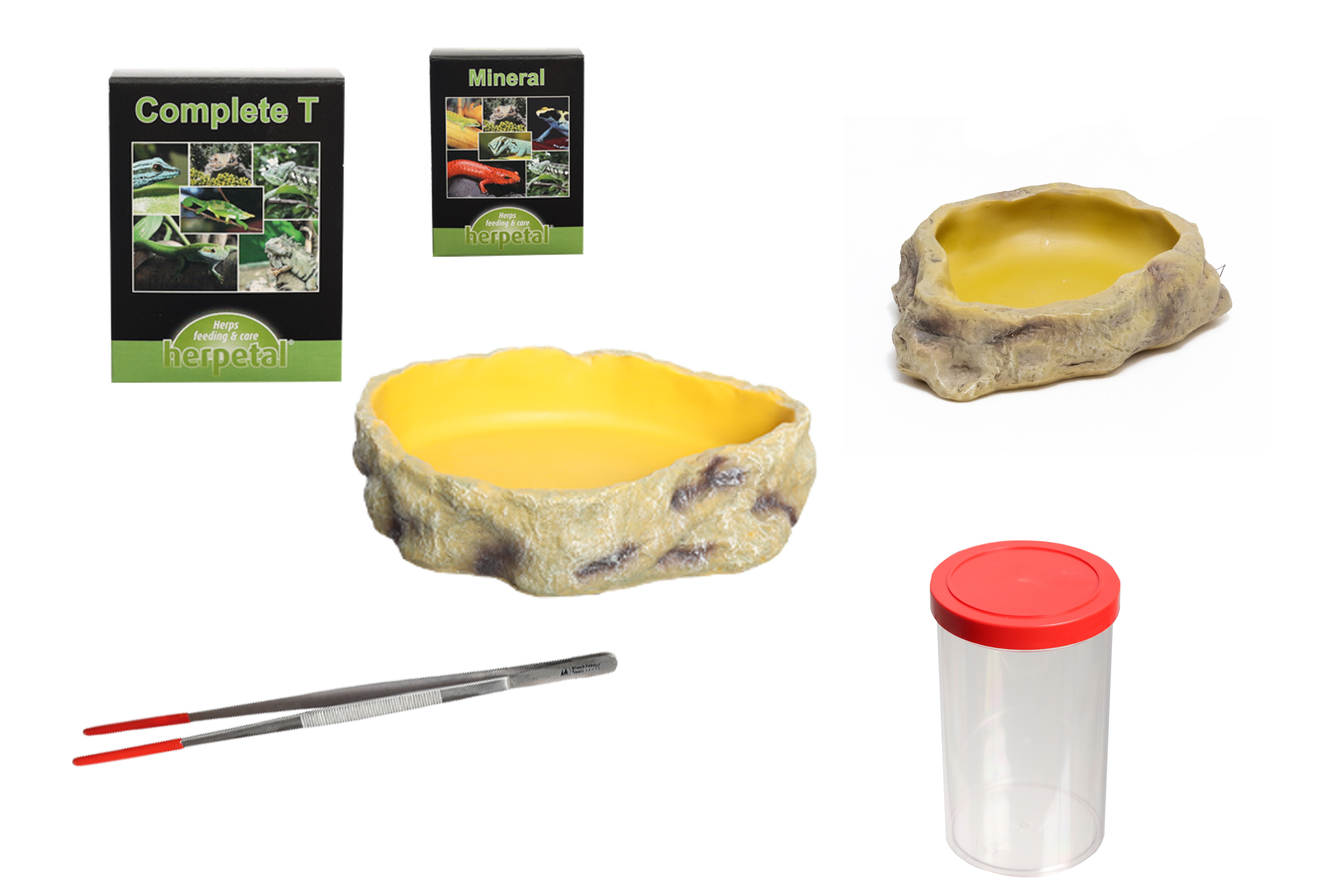 LEOPARDGECKO Ernährungsset inkl. Vitaminpräparate und Zubehör