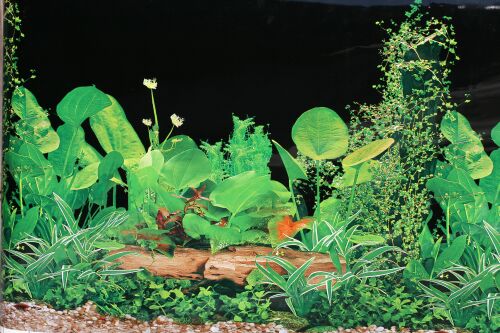 Terrarienrückwand, BLACK
