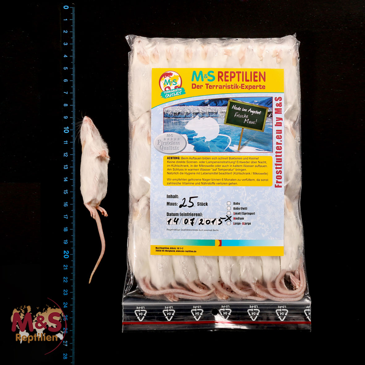 1 (einzelne)  Maus medium, gefroren, ca. 15-22g