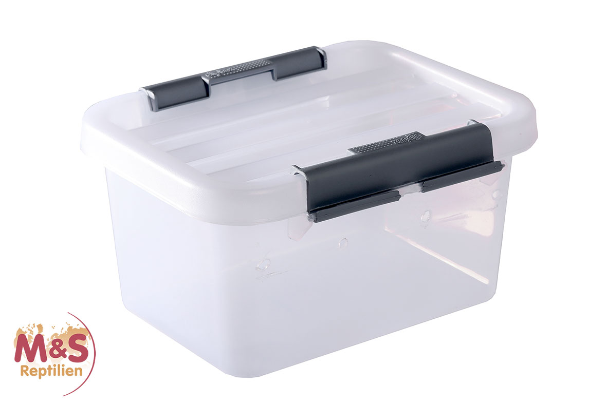 Aufzucht und Transport Box XXS, 19x13x12cm