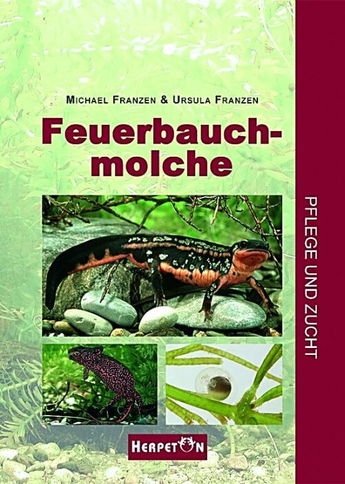 Feuerbauchmolche -Pflege und Zucht (Michael Franzen & Ursula Franzen)