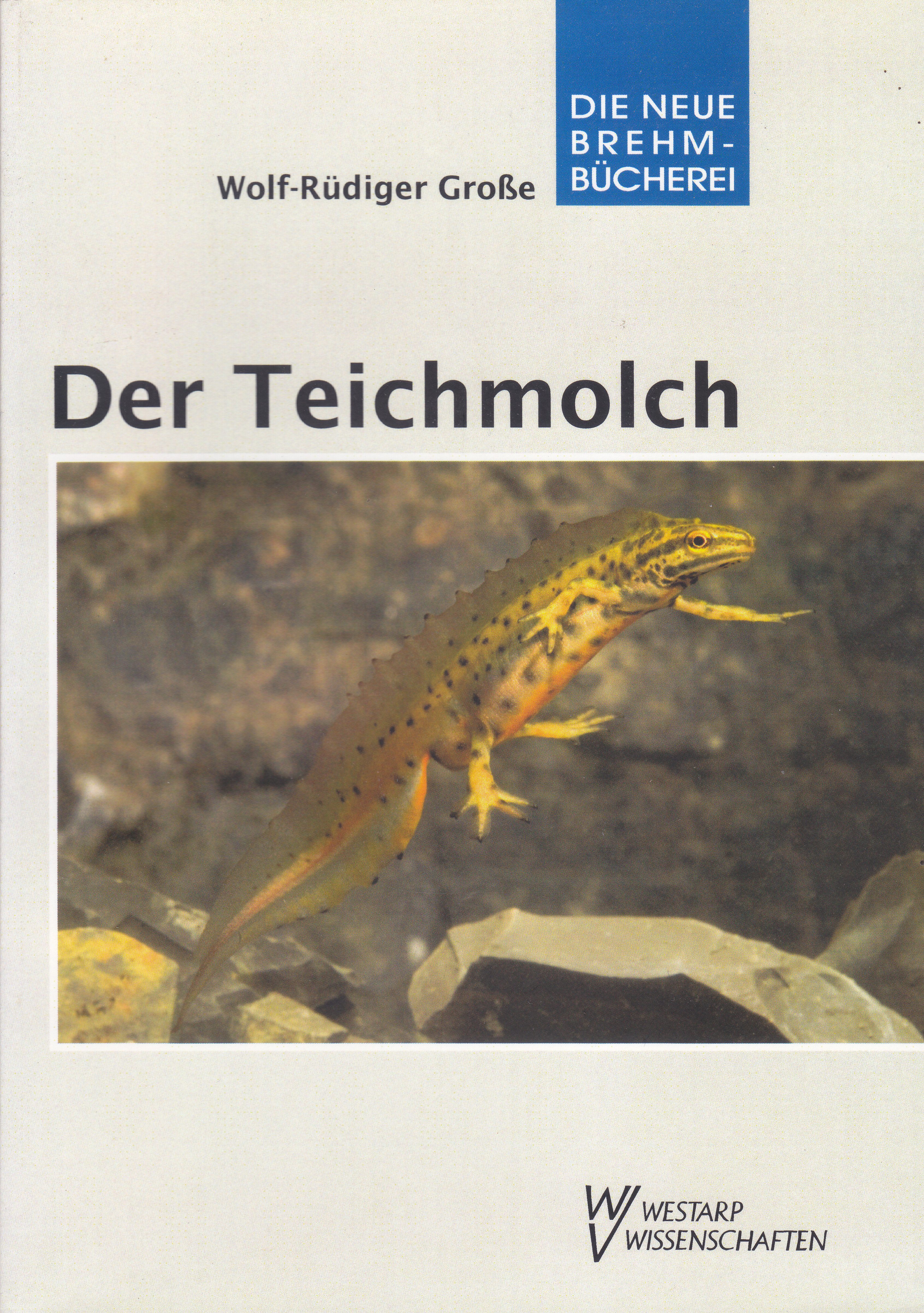 antiquarischer Restposten: Der Teichmolch (Wolf-Rüdiger Große)
