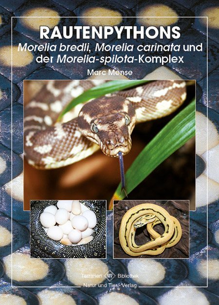 Rautenpythons - Moreilia bredli, Morelia carinata und der Morelia-spilota-Komplex (Marc Mense)