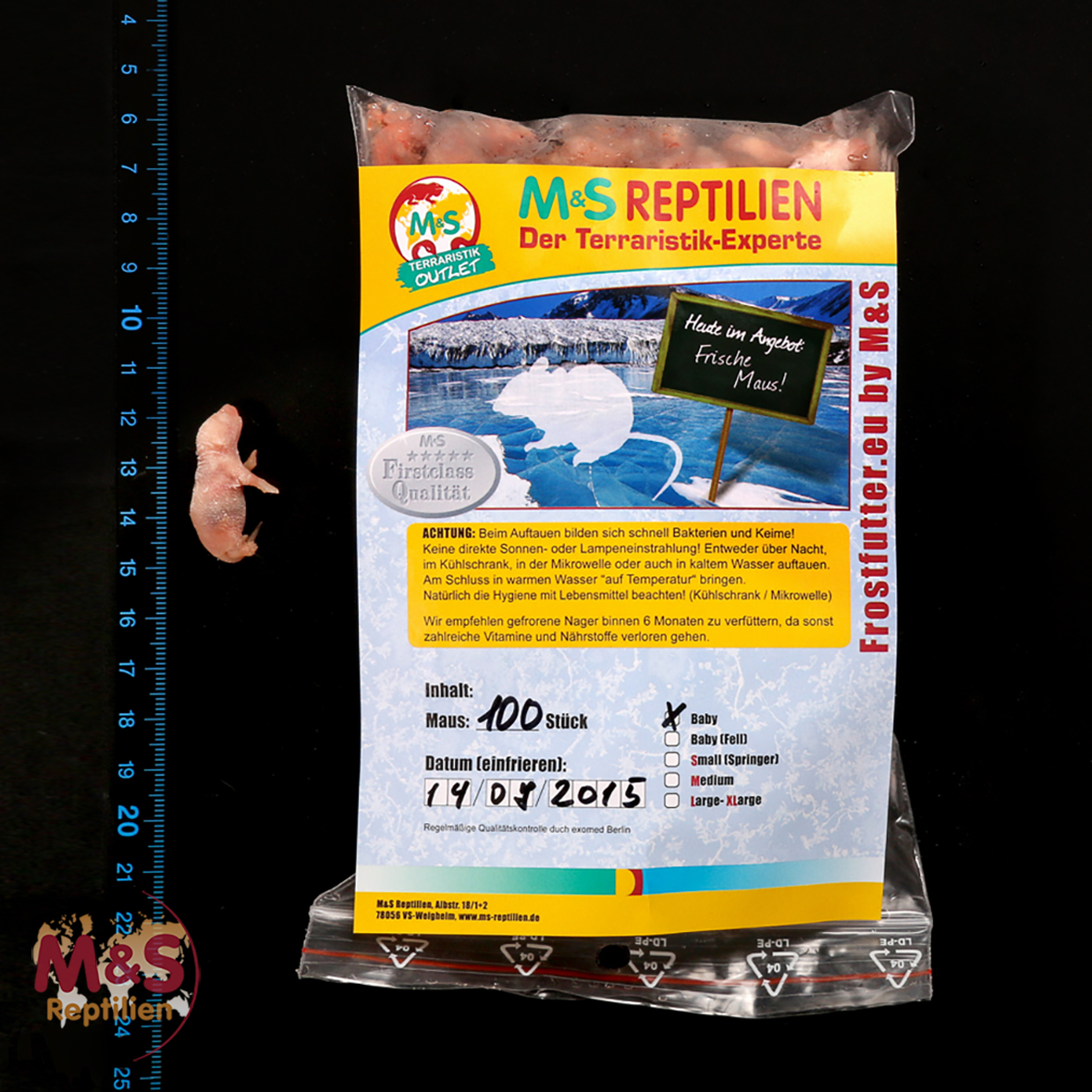 1 (einzelne)  Babymaus, gefroren, ca. 1,5-2g
