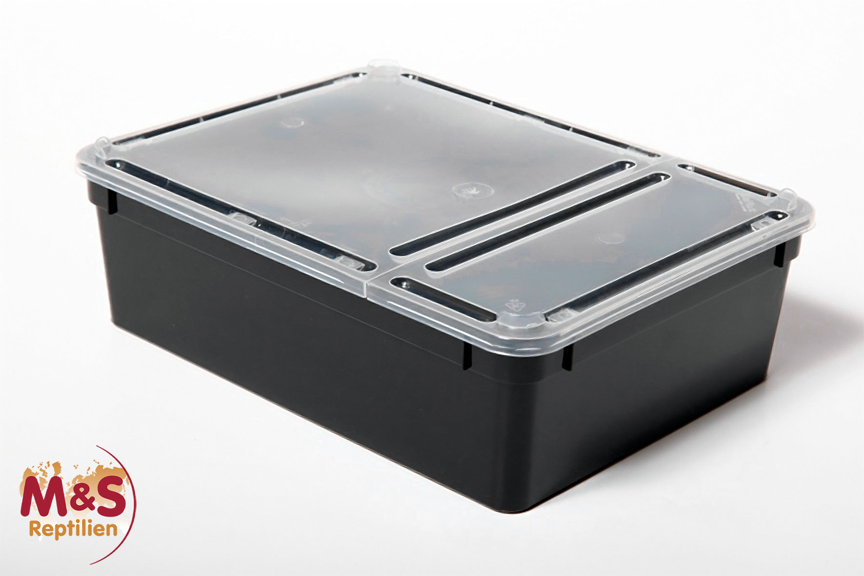 Kunststoffbox schwarz, groß (24x18x7,5 cm) Deckel transparent