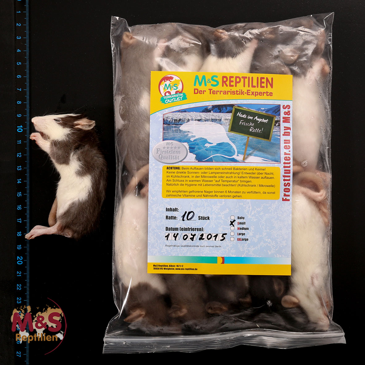 1 (einzelne) Ratte small, gefroren, ca. 60-90g