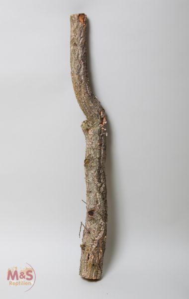 Zierkork Tronchos -einfach / dick- ca.80-100 cm ( ca. 2-3 kg )