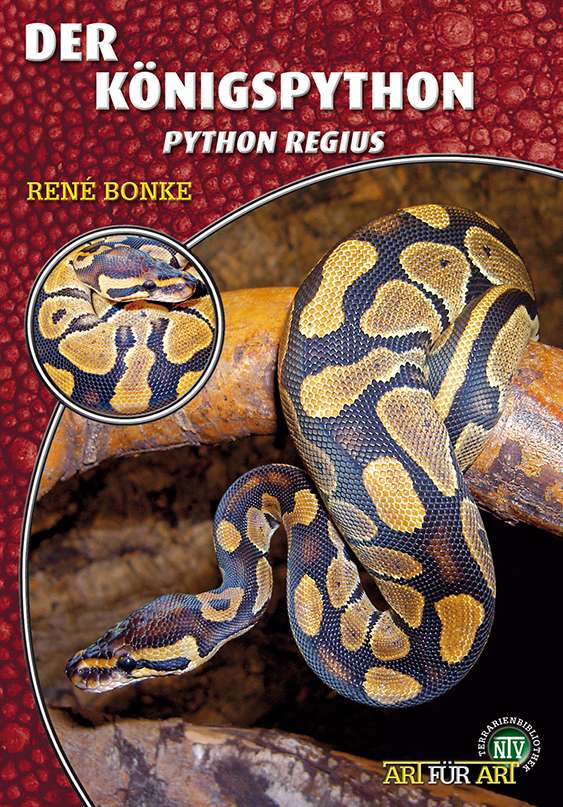 洋書　Python regius Das Kompendium koenigspython_600x600@2x.jpg