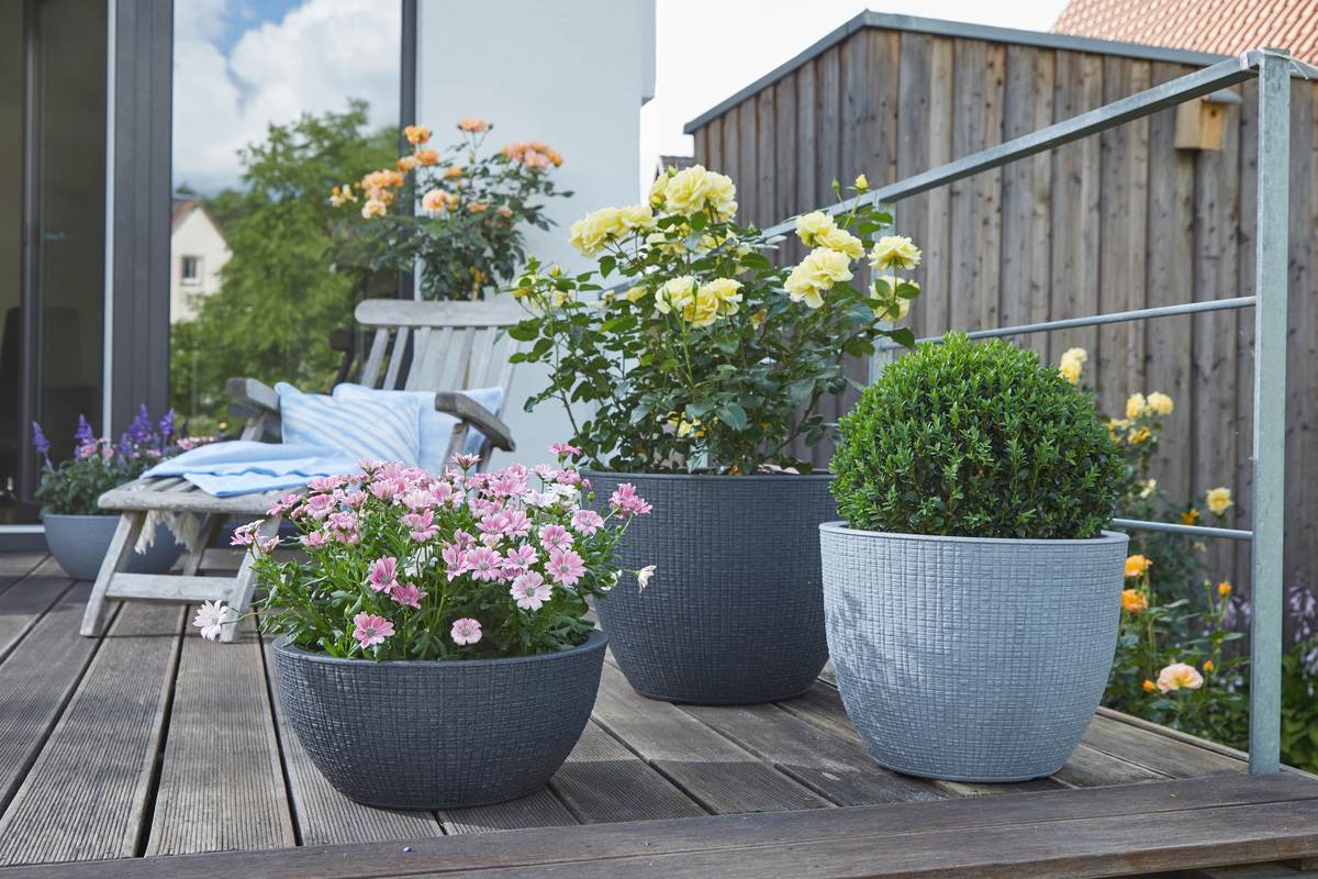 Scheurich Blumentopf Barceo für Aussen, runderPflanzkübel, verschiedene Farben und Grössen Produktabbildung 9