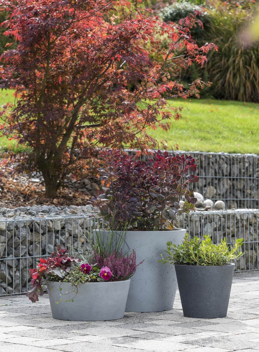 Scheurich C-Cone 30  Pflanzgefäß/Blumentopf/Pflanzkübel C-CONE 238/30 Stony Grey Produktabbildung 4