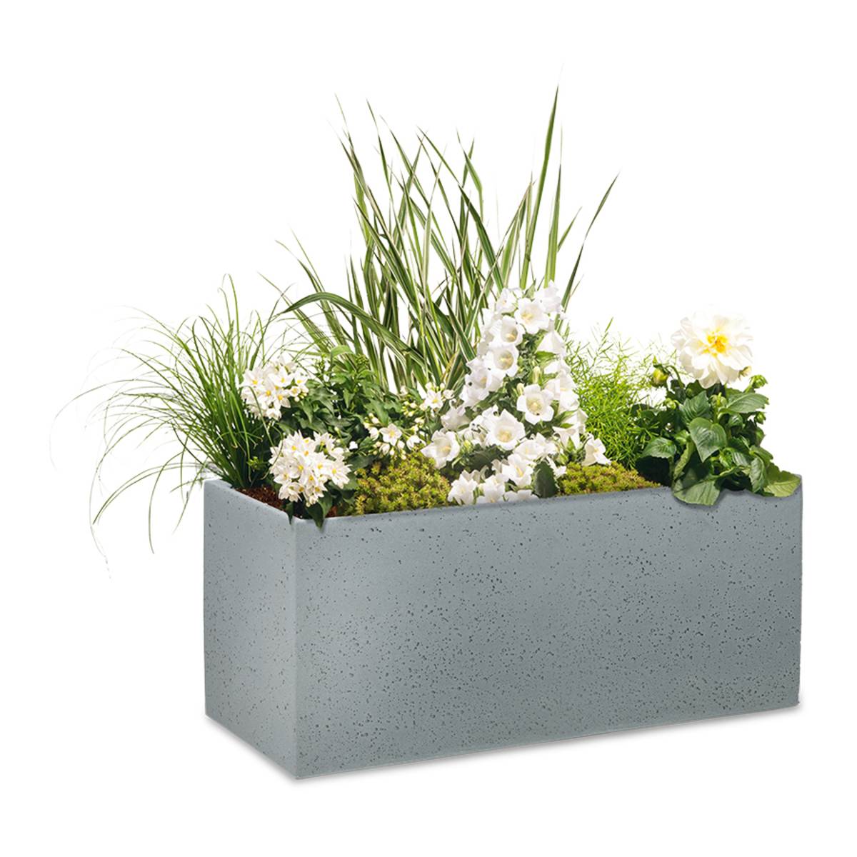 Scheurich Blumenkasten C-Cube Long, Pflanzengefäss für Aussen, rechteckig, Länge 80 cm, Stony Black Produktabbildung 4