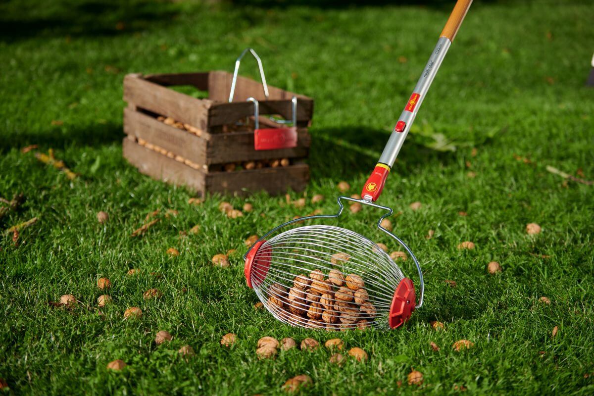WOLF-Garten - Obstsammler mit Stiel FC-M / ZM 140 Produktabbildung 2