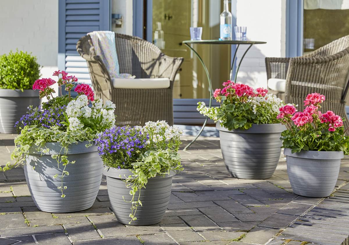 Scheurich Blumentopf Country Star für Aussen, runder Pflanzkübel, verschiedene Farben und Grössen Produktabbildung 10