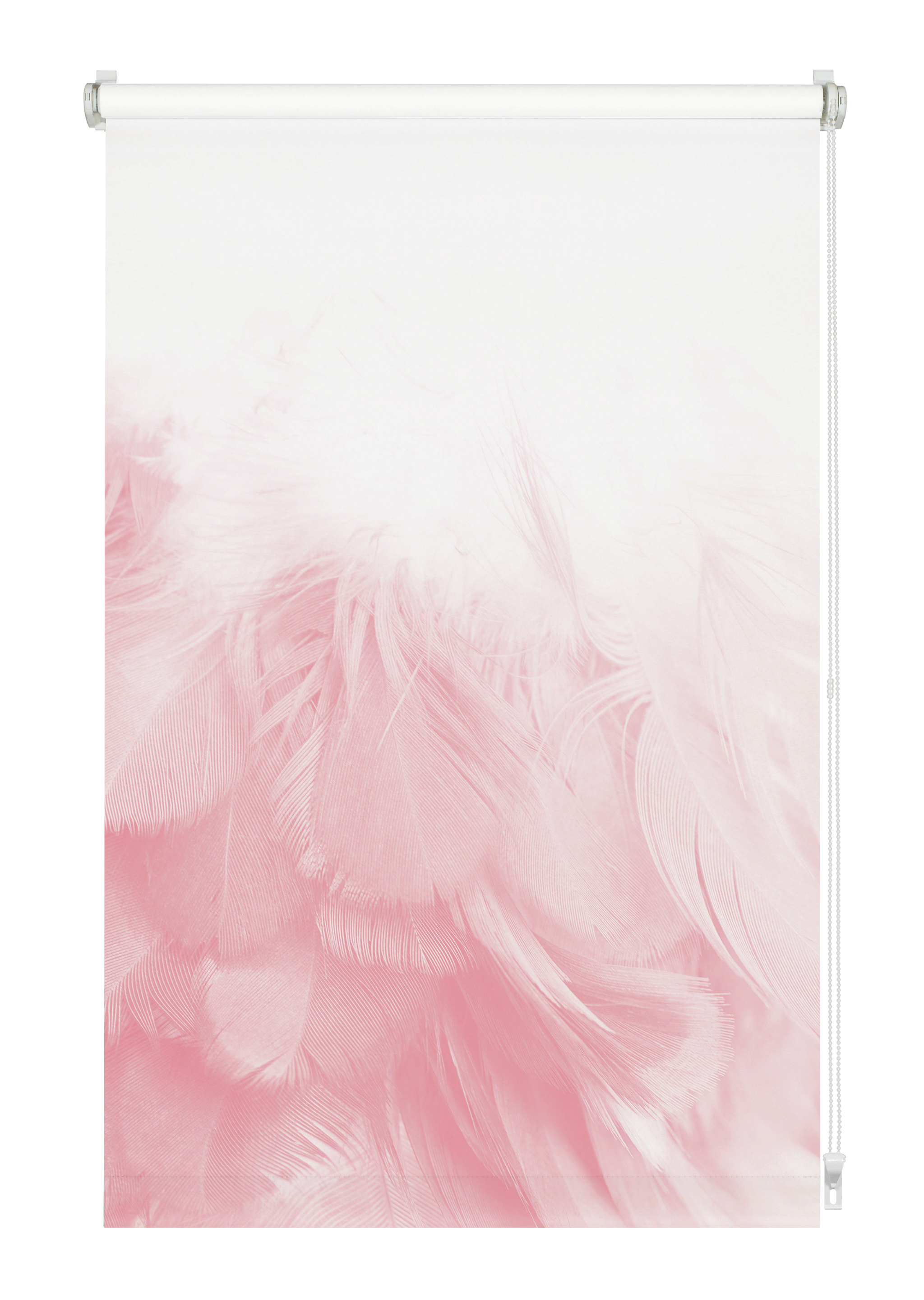 Gardinia EF Rollo Federboa  60x150 Produktabbildung