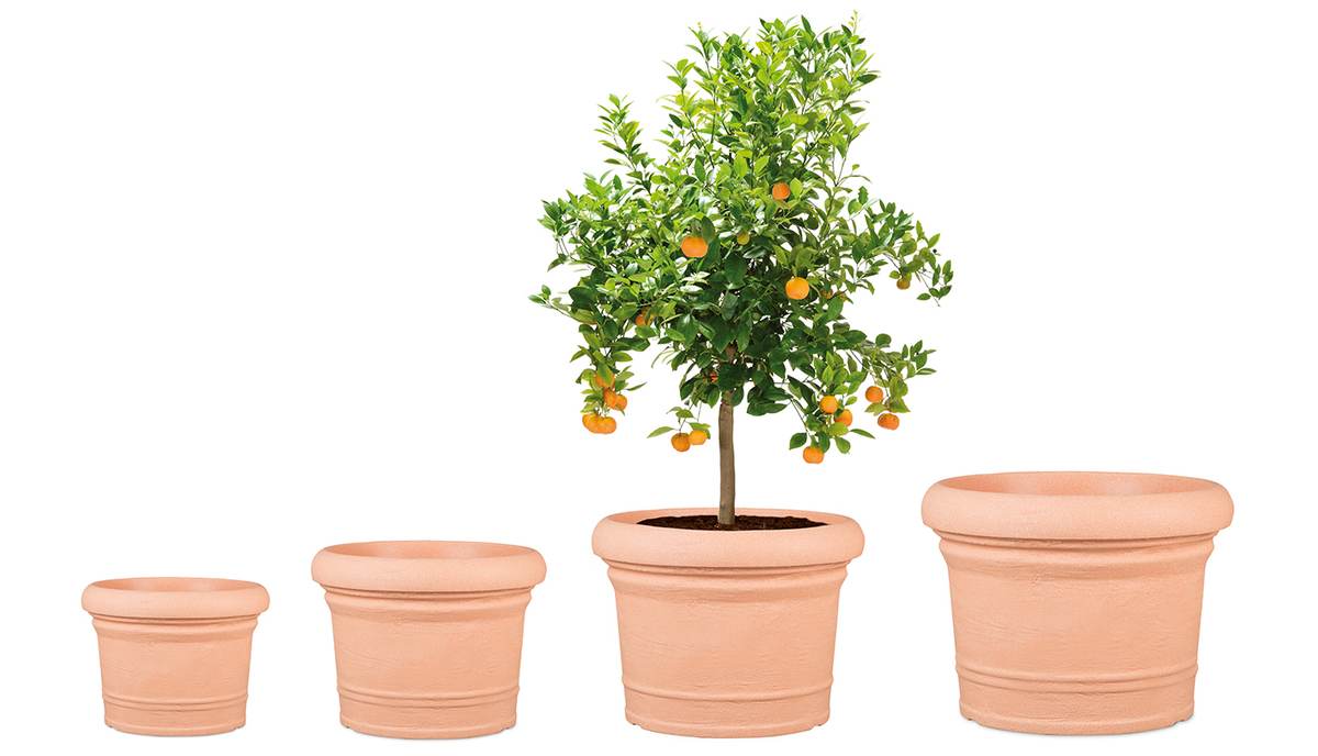 Scheurich Blumentopf Formia für Aussen, runder Pflanzkübel in verschiedene Farben und Grössen Produktabbildung 7