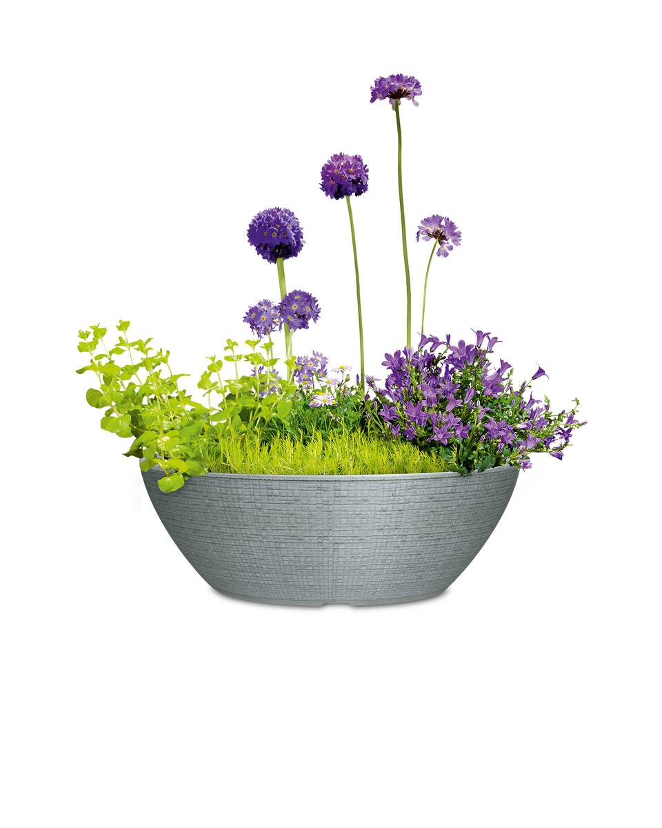 Scheurich Blumentopf Barceo Bowl für Innen & Außen, schwarz oder grau, Blumenkübel mit Abflussventil Produktabbildung 11