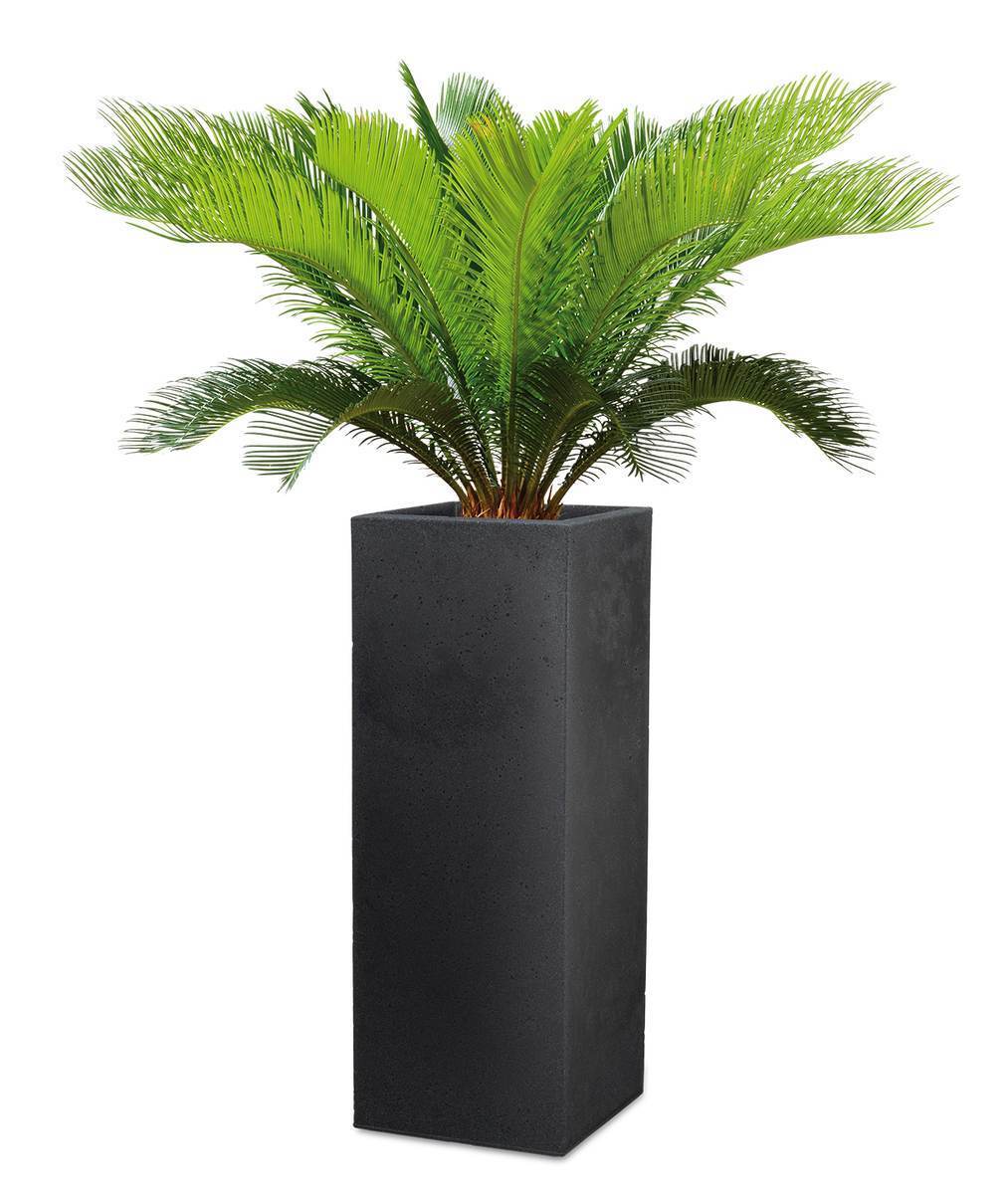 Scheurich Blumentopf Hochgefäss C-Cube High für Aussen, Blumensäule, Stony Black, Höhe 70 cm Produktabbildung 3