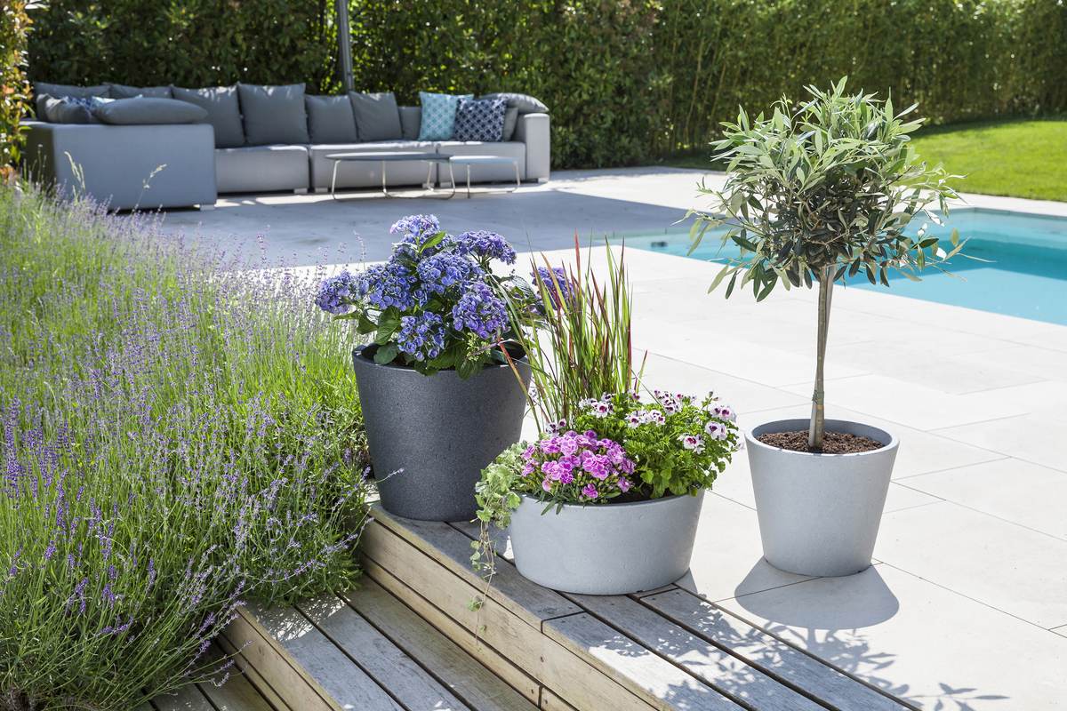 Scheurich C-Cone 30  Pflanzgefäß/Blumentopf/Pflanzkübel C-CONE 238/30 Stony Grey Produktabbildung 5