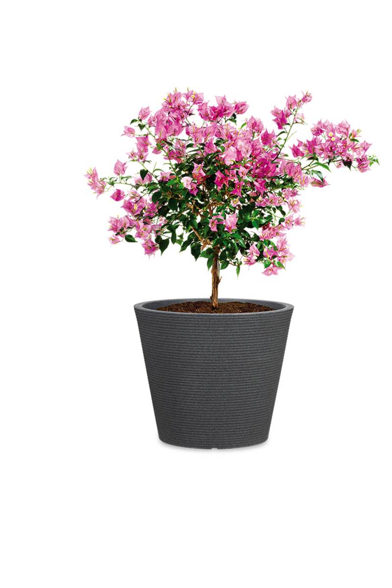 Scheurich Blumentopf Coneo für Aussen, runder Blumenkübel in verschiedene Farben und Grössen Produktabbildung 9