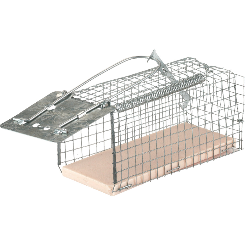Kerbl Kerbl Mausefalle Drahtkäfig MouseCage 1 Eingang Produktabbildung