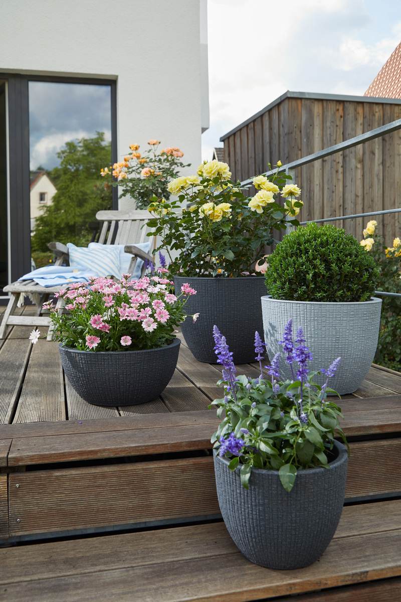 Scheurich Blumentopf Barceo für Aussen, runderPflanzkübel, verschiedene Farben und Grössen Produktabbildung 12