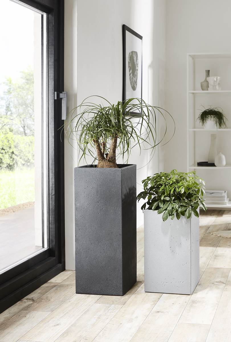 Scheurich Blumentopf Hochgefäss C-Cube High für Aussen, Blumensäule, Stony Grey, Höhe 48 cm Produktabbildung 12