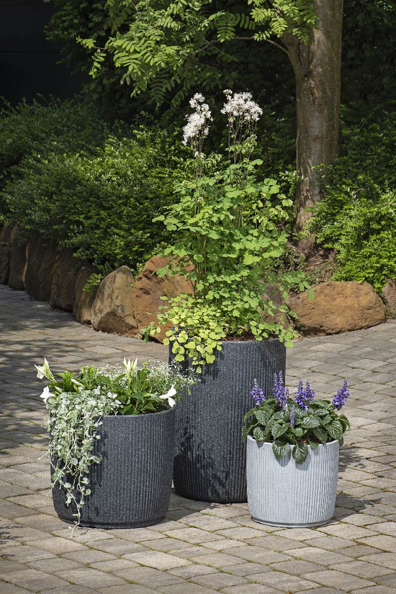 Scheurich Linetto Pflanzgefäß aus Kunststoff, Frostbeständig, UV-beständig, Blumenkübel für Außen Produktabbildung 2