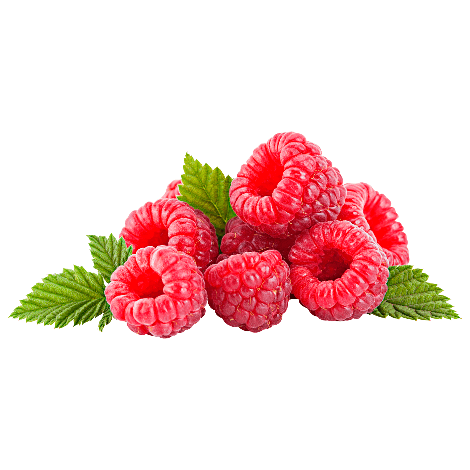 Bio Himbeeren 125g