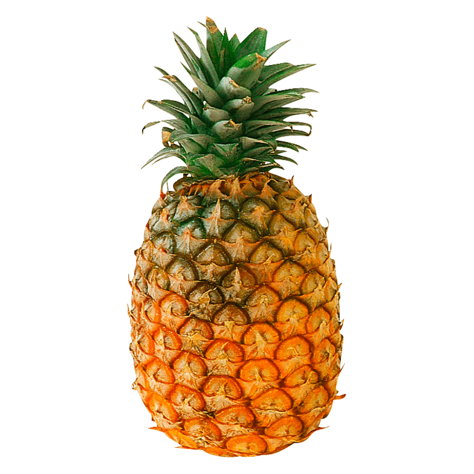 Ananas groß 1 Stück