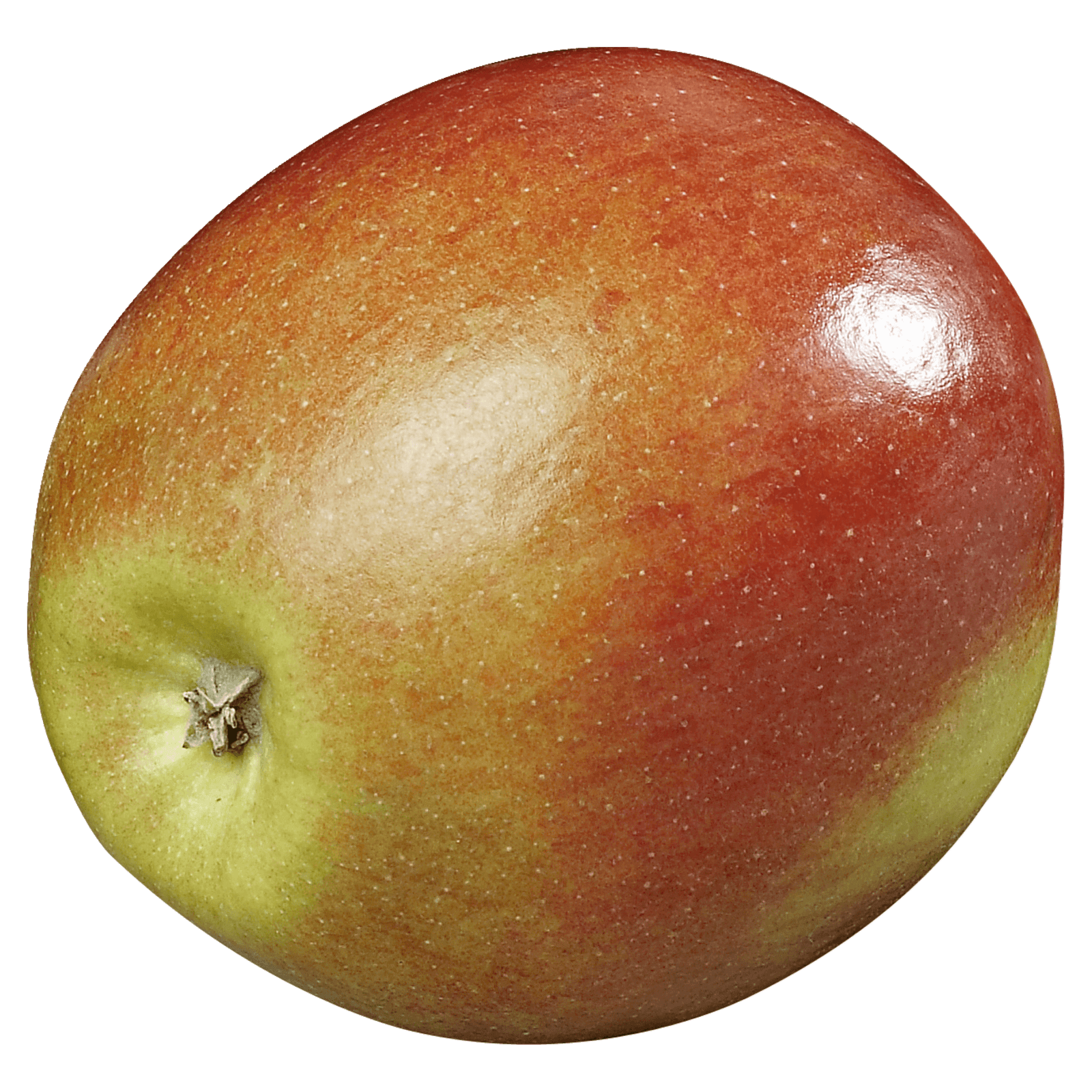 Apfel Braeburn rot ca. 200g