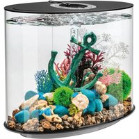 biOrb by OASE Aquarium "LOOP 30 LED; 86415/46", 30 Liter, BxTxH: 31x51x53 cm, verschiedene Farben