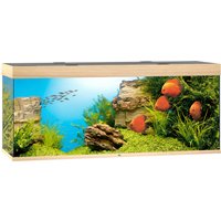 JUWEL AQUARIEN Aquarium "Rio 240 LED grau", inkl. MultiLux LED Einsatzleuchte